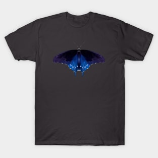 Pipevine swallowtail T-Shirt